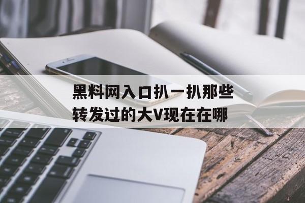 黑料网入口扒一扒那些转发过的大V现在在哪